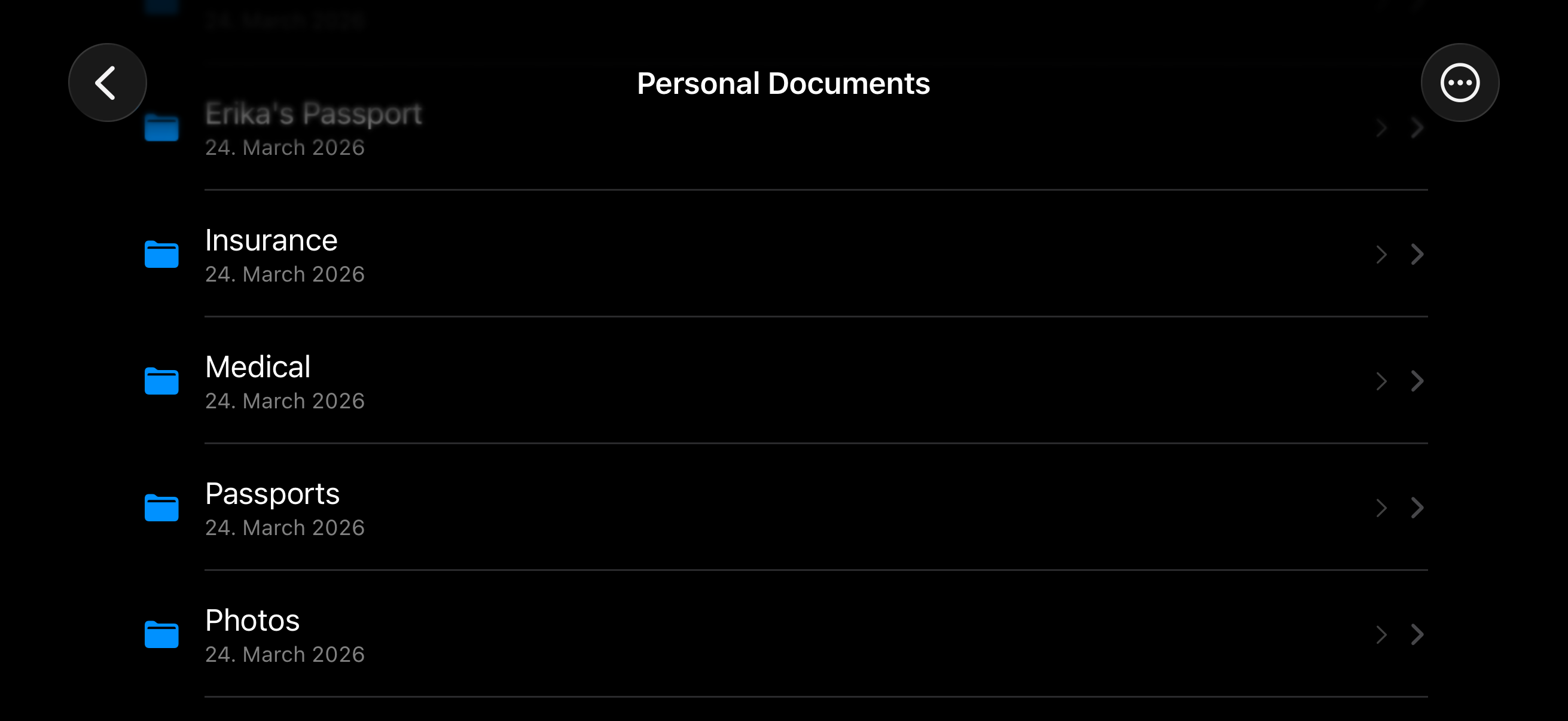 MyCryptFS for iOS — decrypted vault, filenames visible
