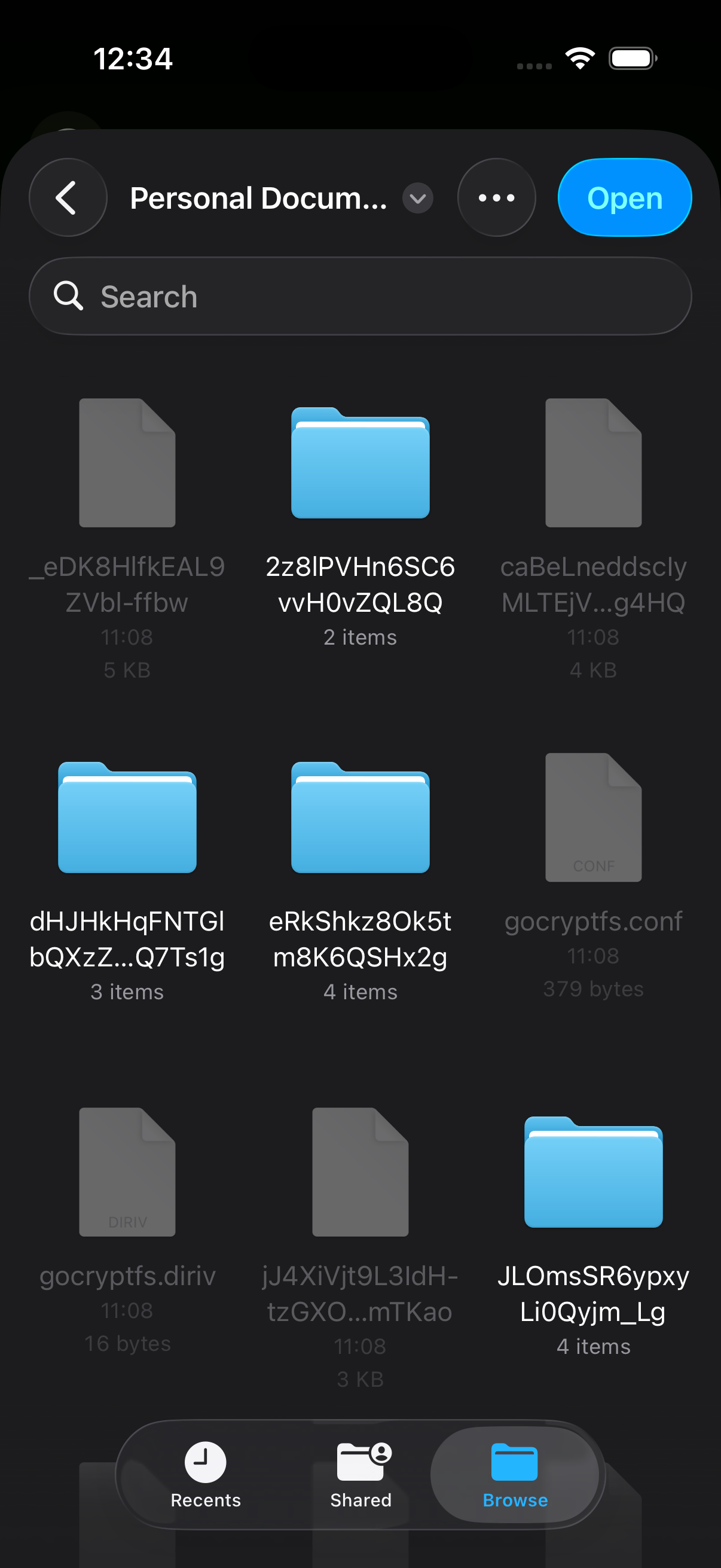 MyCryptFS for iOS — screenshot 4